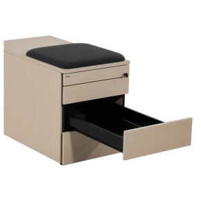 BENE "CT-CONTAINER" - Rollcontainer mit Sitzkissen
