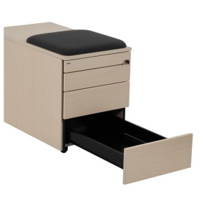 BENE "CT-CONTAINER" - Rollcontainer mit Sitzkissen